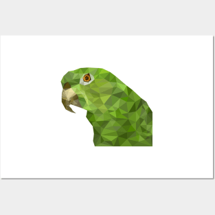 Amazonas Yellow Naped Parrot (Variant 2) Posters and Art